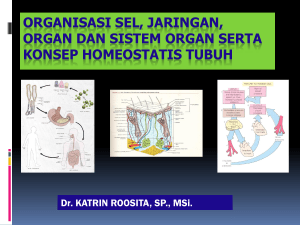 organisasi sel, jaringan, organ dan sistem organ serta konsep