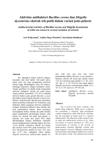 Aktivitas antibakteri Bacillus cereus dan Shigella dysenteriae