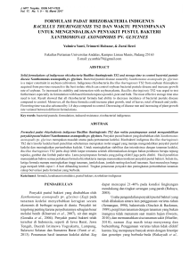 formulasi padat rhizobakteria indigenus bacillus thuringiensis ts2