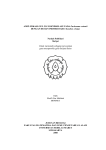 AMPLIFIKASI GEN SULFOHYDROLASE PADA Eucheuma cottonii