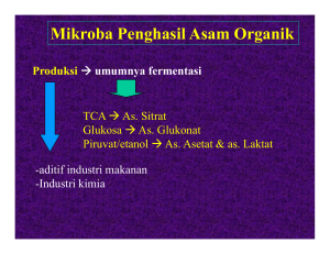 Mikroba Penghasil Asam Organik