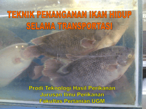 sistem penanganan ikan hidup selama transportasi