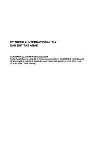 REPORT AUDIT ti - Trisula International