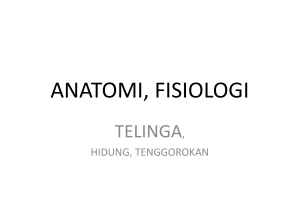 anatomi fisiologi THTx