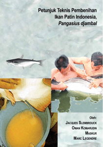 Petunjuk teknis pembenihan ikan patin Indonesia, Pangasius djambal