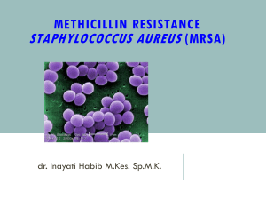 staphylococcus aureus (mrsa)