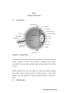 BAB 2 TINJAUAN PUSTAKA 2.1. Anatomi Mata Gambar 2.1