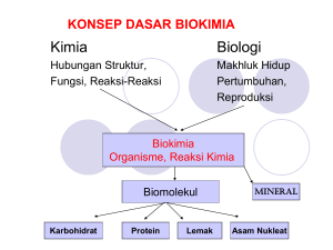 konsep dasar biokimia