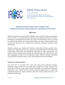 IRGSC Policy Brief