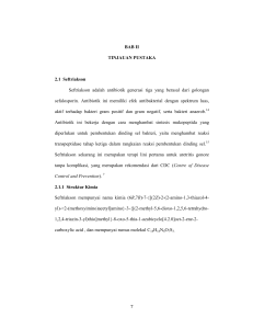 7 BAB II TINJAUAN PUSTAKA 2.1 Seftriakson