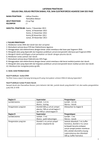 laporan praktikum isolasi dna, isolasi protein darah, pcr, dan