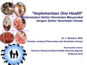 Implementasi One Health - Global Health Security Agenda – Indonesia