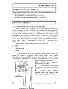 KATETER URIN