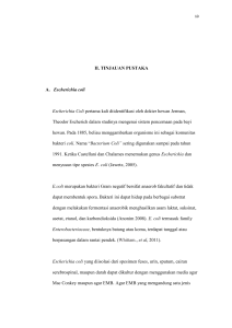 II. TINJAUAN PUSTAKA A. Escherichia coli Escherichia Coli