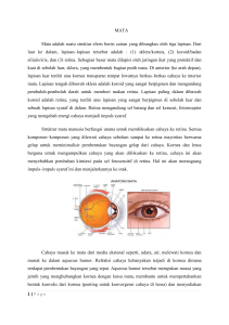 MATA Mata adalah suatu struktur sferis berisi cairan yang