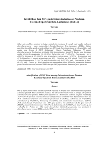 Identifikasi Gen SHV pada Enterobacteriaceae Produsen Extended