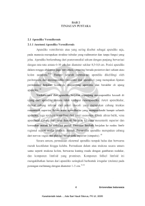 BAB 2 TINJAUAN PUSTAKA 2.1 Apendiks Vermiformis 2.1.1