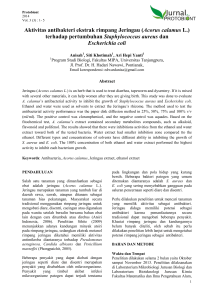 Aktivitas antibakteri ekstrak rimpang Jeringau