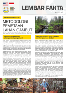 Factsheet Lahan Gambut rev 2