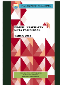 profil kesehatan kota palembang tahun 2013