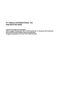 REPORT AUDIT ti - Trisula International