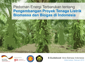 Pedoman Energi Terbarukan tentang Pengembangan Proyek