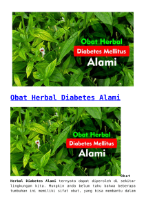 Obat Herbal Diabetes Alami