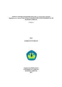 SURVEY CEMARAN BAKTERI Salmonella sp., Escherichia Coli