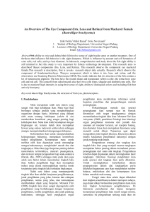 Rastrelliger brachysoma - e-Journal UNP