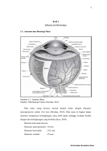 BAB 2 TINJAUAN PUSTAKA 2.1. Anatomi dan Histologi Mata