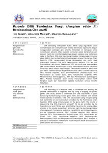 Barcode DNA Tumbuhan Pangi (Pangium edule R