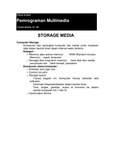 Pemrograman Multimedia STORAGE MEDIA