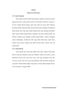 BAB II TINJAUAN PUSTAKA 2.1. Uraian Tanaman Kunci pepet