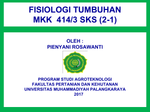 Fisiologi tumbuhan - Universitas Muhammadiyah Palangka Raya