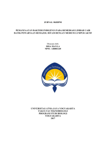 jurnal skripsi pemanfaatan bakteri indigenus pada remediasi limbah