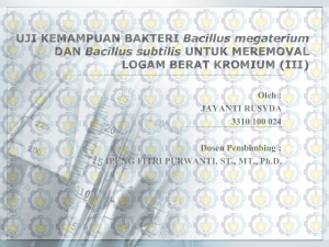 MENGGUNAKAN BAKTERI Bacillus megaterium DAN