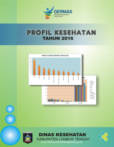 Profil Kesehatan Lombok Tengah Tahun 2016