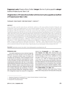 Regenerasi pada Massive Bone Defect dengan