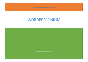 Wordpress Ninja