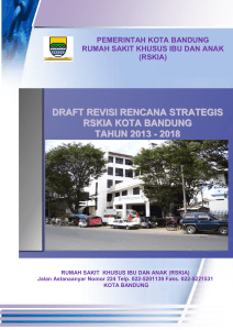 draft revisi rencana strategis rskia kota bandung tahun 2013