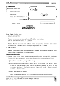 Crebs Cycle