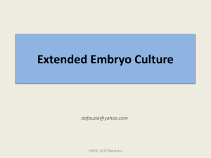Extended Embryo Culture