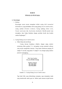 BAB II TINJAUAN PUSTAKA