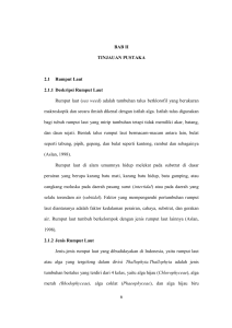 6 BAB II TINJAUAN PUSTAKA 2.1 Rumput Laut 2.1.1 Deskripsi