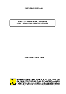executive summary tahun anggaran 2011