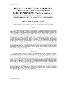 ISOLASI DAN IDENTIFIKASI SENYAWA ANTIJAMUR (Candida