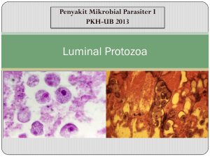 Luminal Protozoa