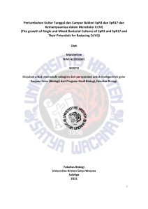 Pertumbuhan Kultur Tunggal dan Campur Bakteri SPR3 dan SPR17