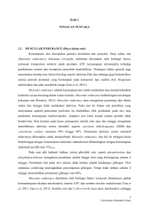 Daya tahan otot - Universitas Sumatera Utara