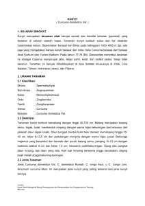 KUNYIT ( Curcuma domestica Val. ) 1. SEJARAH SINGKAT Kunyit